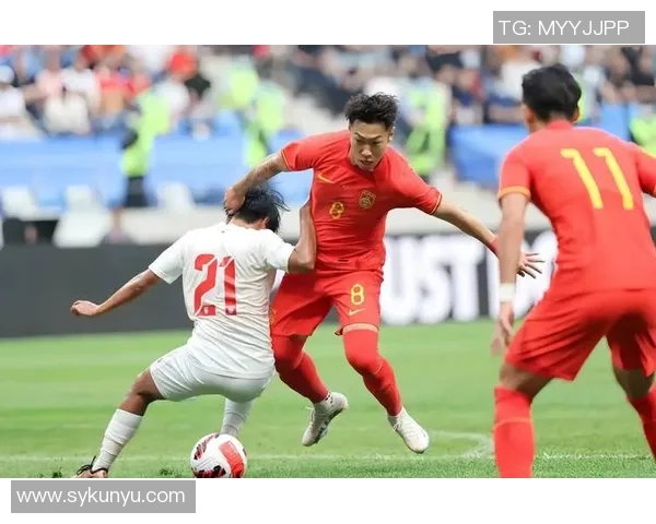 杭州排球队速度之美大满贯点评展现竞技魅力与团队协作