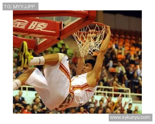 王磊畅谈篮球生涯背后的故事与成长历程